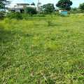 Plot for sale in Utange