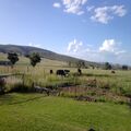 Farm for Sale in Waterberg Close to Modimolle
