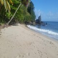Amazing beach land to develop in Samana, Caribbean