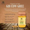 Buy A2 Gir Cow Ghee Online from Vanalaya at an Affordable Price