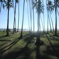Wadduwa 6 Acre Land facing one of the golden beaches in Sri Lanka